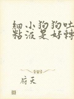 细小狗狗吐白色粘液是好转还是恶化