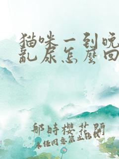 猫咪一到晚上就乱尿怎么回事