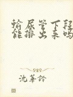 输尿管下段结石能排出来吗