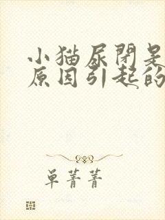 小猫尿闭是什么原因引起的