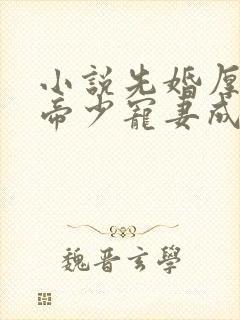 小说先婚厚爱:帝少宠妻成瘾