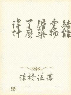 得了胆囊结石有什么药物能排石吗