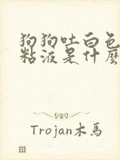 狗狗吐白色泡沫粘液是什么原因怎么治