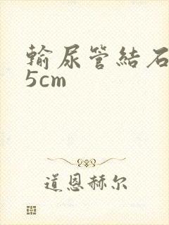 输尿管结石0.5cm