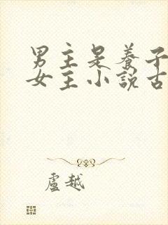 男主是养子爱上女主小说古言