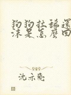 狗狗拉稀还吐白沫是怎么回事