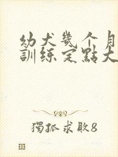 幼犬几个月开始训练定点大小便