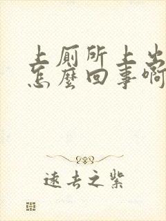 上厕所上出血是怎么回事啊