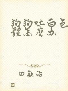 狗狗吐白色的液体怎么办