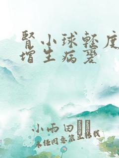 肾小球轻度系膜增生病变