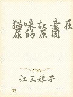 猫咪故意在床上尿的原因