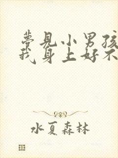 梦见小男孩尿到我身上好不好