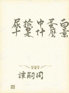 尿检中蛋白质1十是什么意思