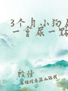 3个月小狗尿频一会尿一点