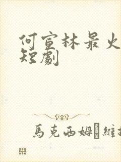 何宣林最火十部短剧