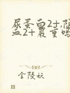 尿蛋白2+,隐血2+严重吗