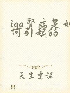 iga肾病是如何引起的