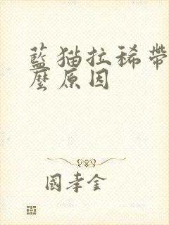 蓝猫拉稀带血什么原因