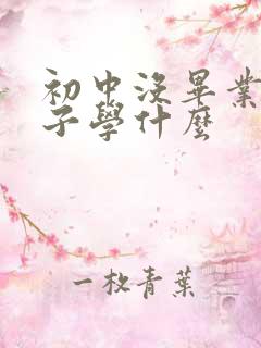 初中没毕业男孩子学什么