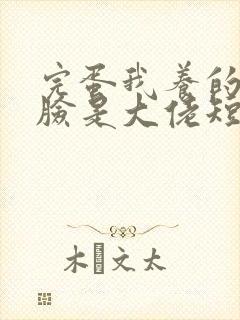 完蛋我养的小白脸是大佬短剧在哪里看