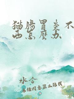 猫肠胃炎不吃东西怎么办