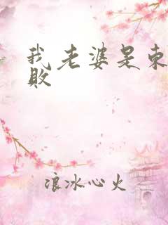 我老婆是东方不败