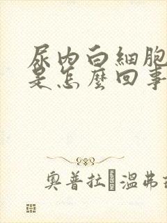 尿内白细胞增多是怎么回事