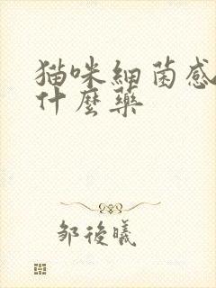 猫咪细菌感染用什么药