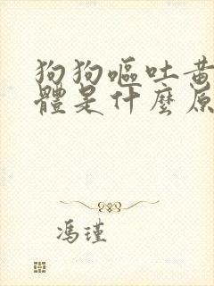 狗狗呕吐黄色液体是什么原因