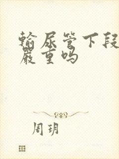 输尿管下段结石严重吗