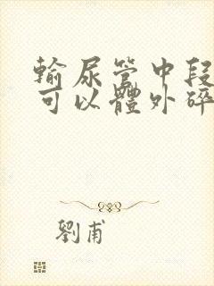 输尿管中段结石可以体外碎石吗?