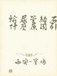 输尿管结石是由什么原因引起