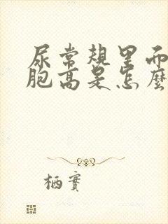 尿常规里面红细胞高是怎么回事