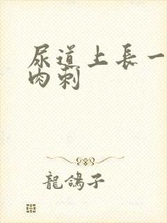 尿道上长一些小肉刺