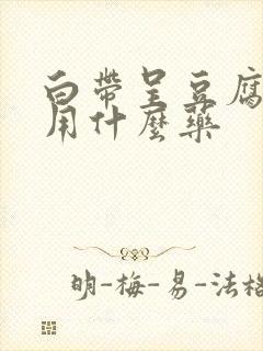 白带呈豆腐渣状用什么药