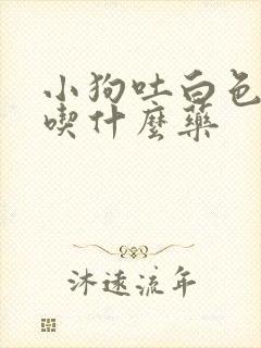 小狗吐白色泡沫吃什么药