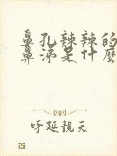 鼻孔辣辣的流清鼻涕是什么原因