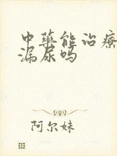 中药能治疗女性漏尿吗