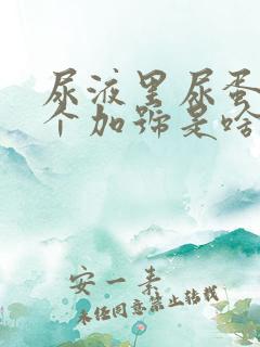 尿液里尿蛋白一个加号是啥意思