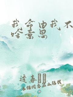 我命由我不由天啥意思
