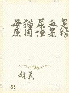 母猫尿血是什么原因但是精神很好