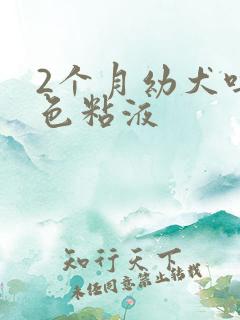 2个月幼犬吐白色粘液