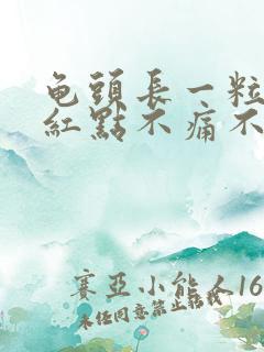 龟头长一粒一粒红点不痛不痒是什么