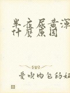 半夜尿黄浑浊是什么原因