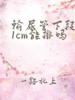 输尿管下段结石1cm能排吗