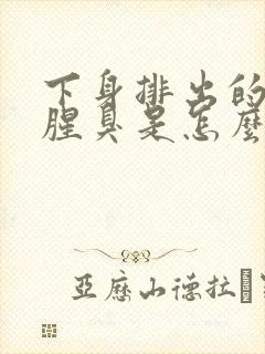 下身排出的味道腥臭是怎么回事?