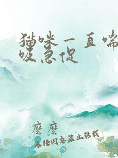 猫咪一直喘气呼吸急促