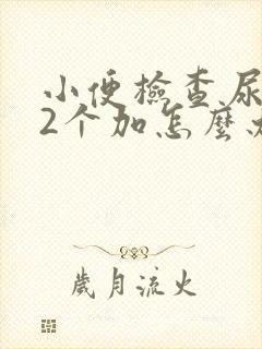 小便检查尿蛋白2个加怎么办