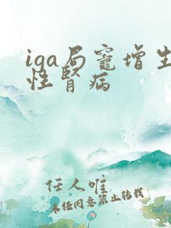 iga局灶增生性肾病