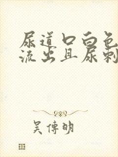 尿道口白色液体流出且尿刺痛